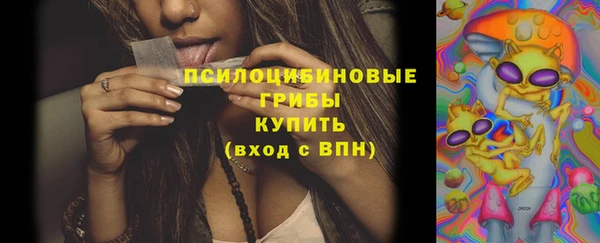 твердый Верея