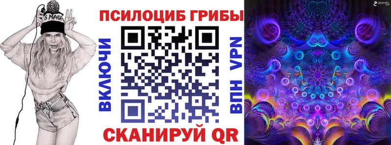 Галлюциногенные грибы Psilocybe  Данков 